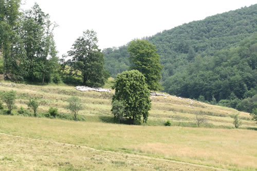 Wandern Rund um Lonau